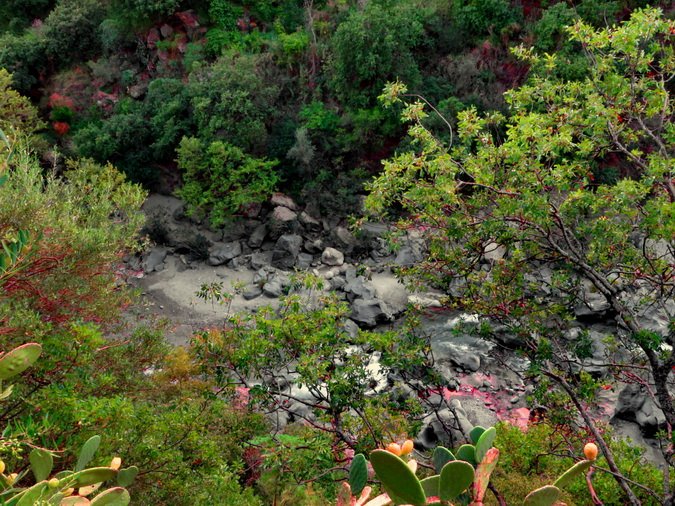(81) Gole dell'Alcantara